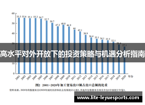 高水平对外开放下的投资策略与机遇分析指南
